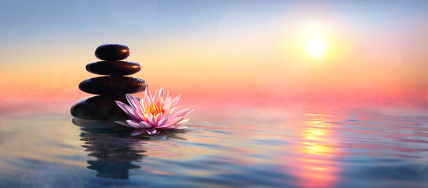 Koncepcja Zen - Spa kamienie i lilia wodna w jezioro o zachodzie słońca - Zdjęcie, obraz