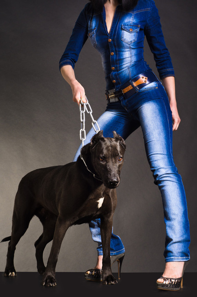 Dog on a chain that keeps a woman in denim clothes - Fotó, kép