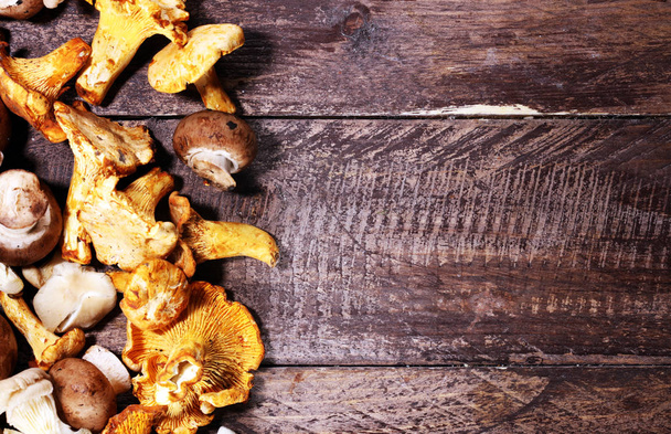 разнообразие сырых грибов на сером столе. устрицы и другие свежие грибы
. - Фото, изображение