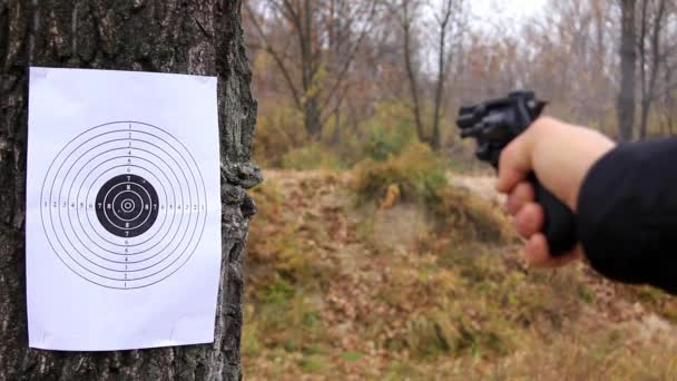 Disparando a un objetivo
 - Metraje, vídeo