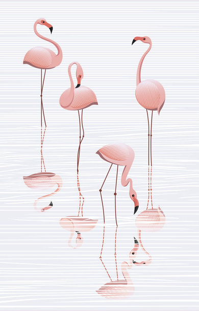 Kudde van Flamingo's in het water, minimalistische afbeelding - Vector, afbeelding