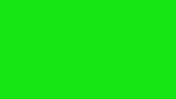 緑色の画面 - 映像、動画