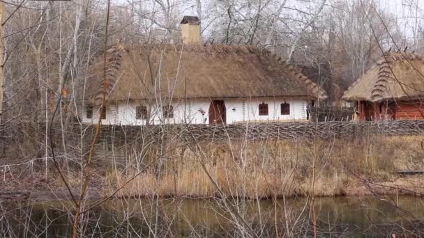 Oekraïense hut met rieten dak - Video
