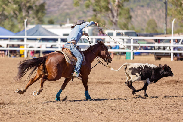Una cowgirl che gareggia in un evento di cordata di vitelli a un rodeo di campagna
 - Foto, immagini