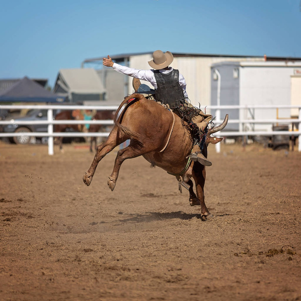 Cowboy cavalcare un toro in controtendenza in una competizione a un rodeo paese
 - Foto, immagini