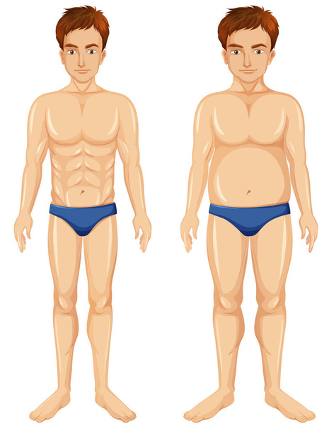 Набор иллюстраций трансформации человеческого тела
 - Вектор,изображение