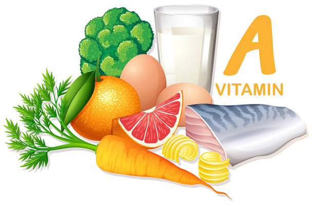 Різноманітність продуктів, що містять вітамін А ілюстрація
 - Вектор, зображення