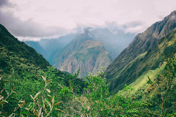The green nature of the Andes. - 写真・画像