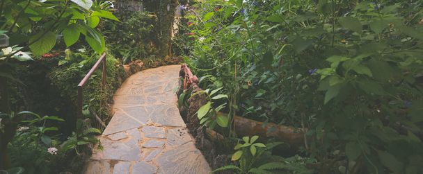Concrete tile path along jungle flora. - Фото, изображение