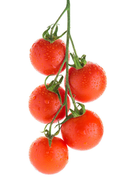 cherry tomatoes with drops of water on a branch - Photo, image