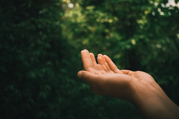 Las manos de la mujer se colocan juntas como rezando frente a la naturaleza fondo verde
. - Foto, imagen