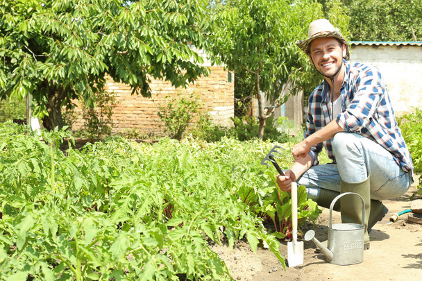 Man working in garden on sunny day - Photo, Image