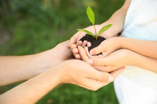 Family holding soil with green plant in hands on blurred background - Foto, imagen