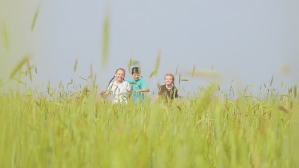 Onnelliset lapset juoksemassa kesäniityllä
 - Materiaali, video