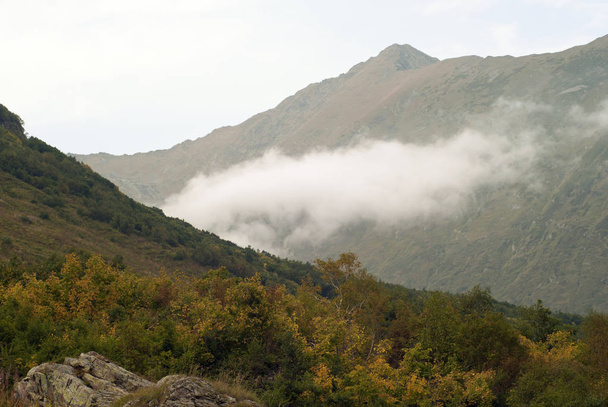 Вид з вкритих осінніми деревами і кущами схилу гори над хмарами на протилежний схил ущелини в атмосферному тумані з повзучим щілиною
 - Фото, зображення