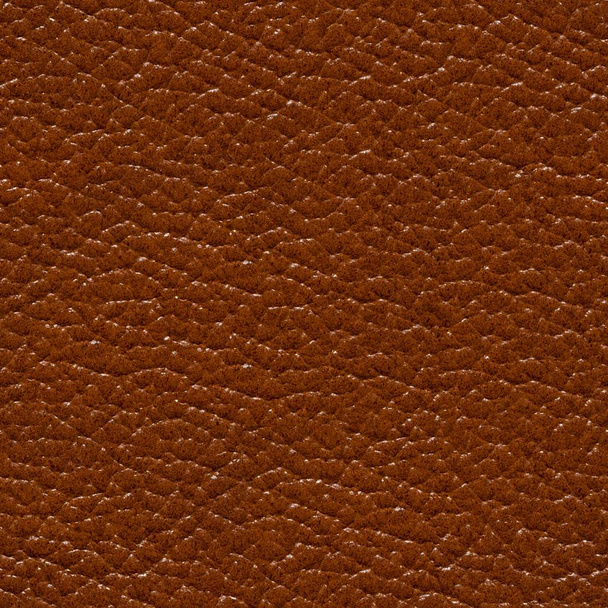 Perfective lackered leather background for design. Seamless square texture, tile ready. - Photo, Image
