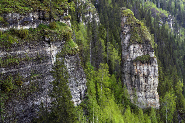 landscape with sheer cliffs amid the forest without sky (rock Devil's finger on the river Usva, Middle Urals, Russia - Photo, Image