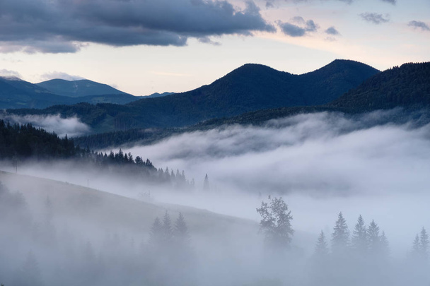 Mountain valley in the mist. Beautiful natural landscape at the summer time during sunrise - 写真・画像