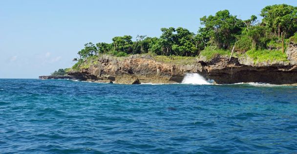 coast of tropical island wasini in kenya - Foto, imagen
