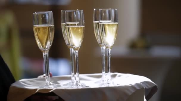 Waiter holding plate with glasses of champagne - Felvétel, videó