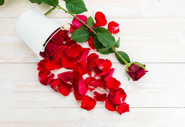 rose and petals  - Foto, afbeelding