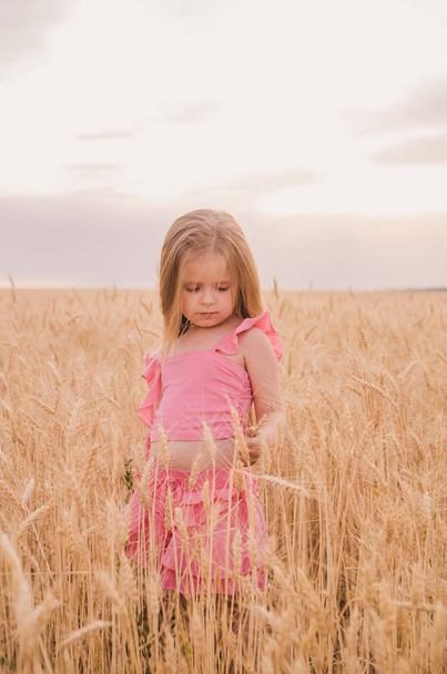 Beautiful little girl in a wheat field - Foto, Bild
