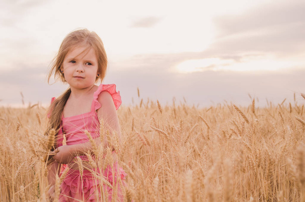 Bir buğday alanında güzel küçük kız - Fotoğraf, Görsel