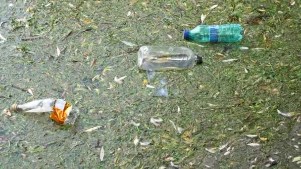 Botellas de plástico en agua muy sucia en un lago
 - Imágenes, Vídeo