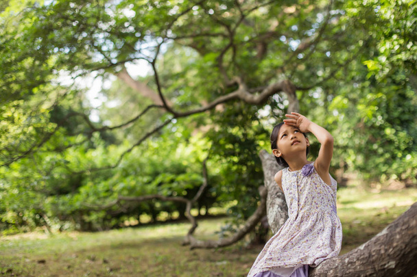kleines süßes asiatisches Mädchen, das inmitten des lila Blütenfeldes steht. Freiheit genießen mit der Natur. - Foto, Bild