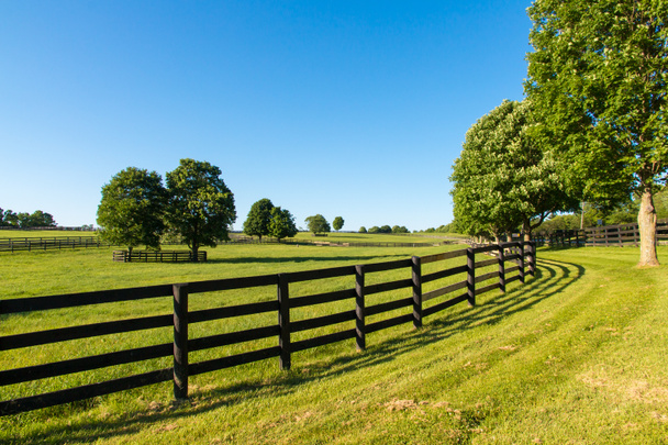 Pastagens verdes de fazendas de cavalos. País paisagem de verão. - Foto, Imagem