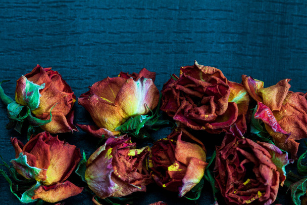 Beautiful natural background with dried red roses on dark. - Fotoğraf, Görsel