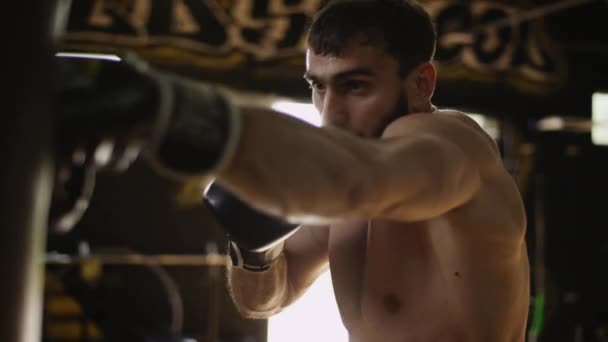 Boxer schlägt Boxsack in Turnhalle mit Boxhandschuhen Athlet arbeitet hart - Filmmaterial, Video