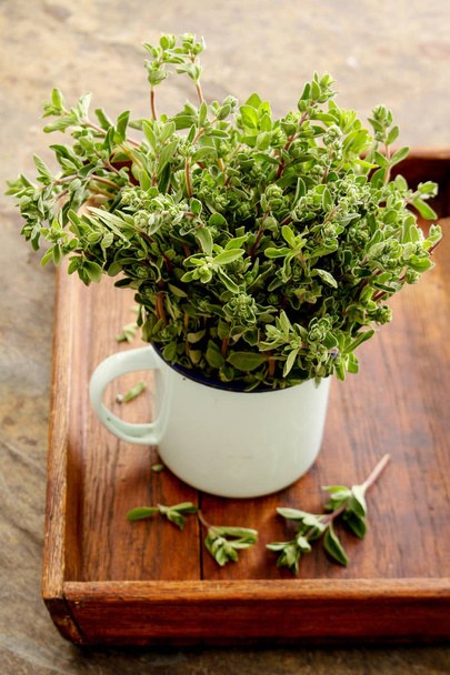 freshly picked marjoram herb - Photo, Image