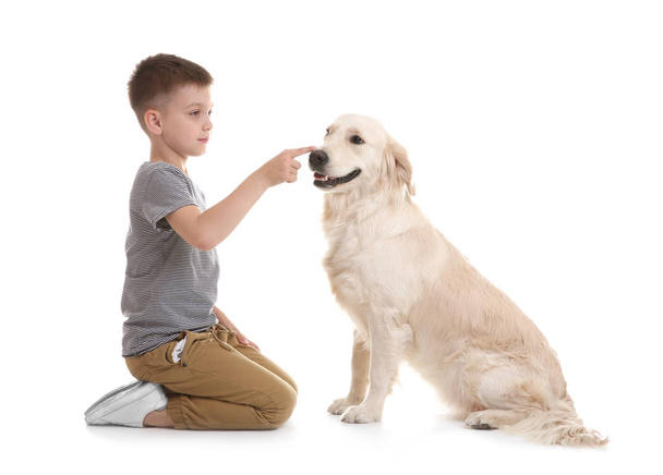 Cute little child with his pet on white background - 写真・画像