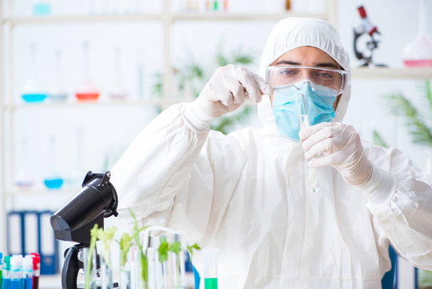 Мужской биохимик, работающий в лаборатории по растениям - Фото, изображение