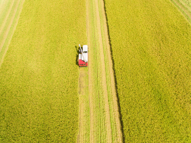 Birleştirme hasat makinesi pirinç çiftliği olan havadan görünümü - Fotoğraf, Görsel