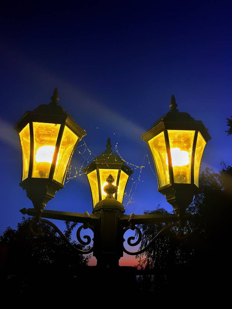 een mix van natuur en architectuur, gele lantaarns tegen een donker blauwe dageraad - Foto, afbeelding