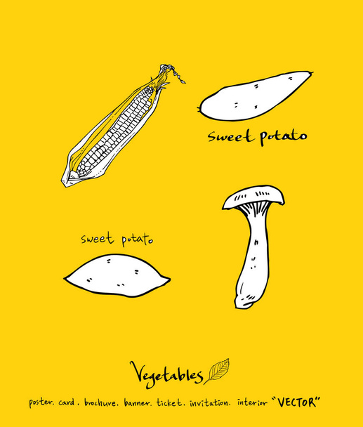 Vegetable and fruit illustrations / Hand drawn food ingredients - vector - Вектор, зображення