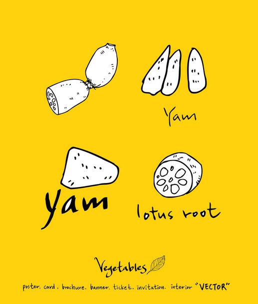 Vegetable and fruit illustrations / Hand drawn food ingredients - vector - Vetor, Imagem