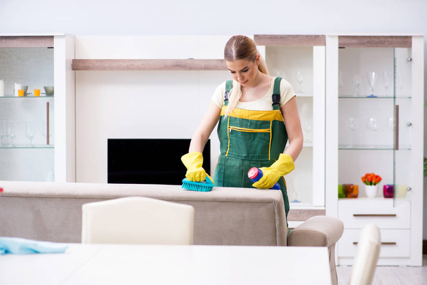 Limpieza profesional de muebles de apartamentos - Foto, Imagen