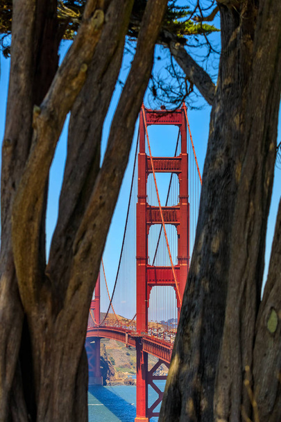 Golden Gate Köprüsü Presidio ağaçlarda aracılığıyla San Francisco, ABD içinde bir açık summert günde görüntülendi - Fotoğraf, Görsel