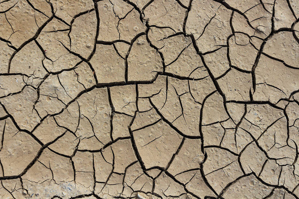 Drought, earth cracks, natural disasters. - Photo, Image