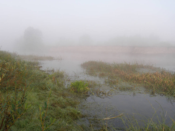  Foggy mattina d'estate sul fiume
  - Foto, immagini