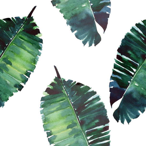 Bright green herbal tropical wonderful hawaii floral summer pattern of a tropic monstera palm leaves watercolor hand illustration. Perfect for textile, wallpapers, backgrounds - Photo, Image