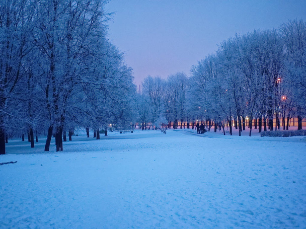 serata nel Parco d'inverno, Mosca
 - Foto, immagini