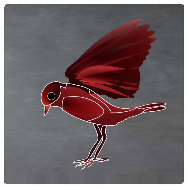 nadir bir kuş, bir kırmızı karın ile Saxicola Insignis. - Vektör, Görsel