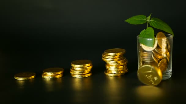 Beheer de efficiëntie. Stapels van gouden munten in de buurt van vol glas en groene blad van sprout op zwarte achtergrond. Succes. - Video