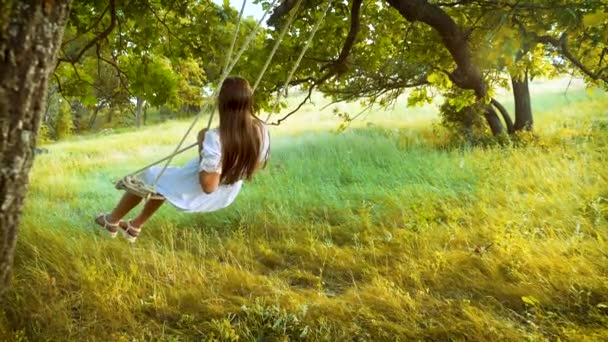 Mooi meisje met lang haar op een schommel swingende en lachen in een zomer-park. Slow motion. - Video