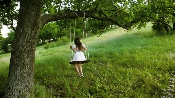 Dívka s dlouhými vlasy v bílých šatech, houpání na houpačce pod strom letní dub v teplém období. Zpomalený pohyb. - Záběry, video