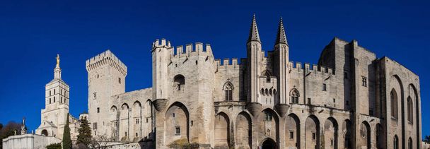 Het pauselijk paleis, een van de grootste gotische gebouwen in Europa in Avignon Frankrijk - Foto, afbeelding